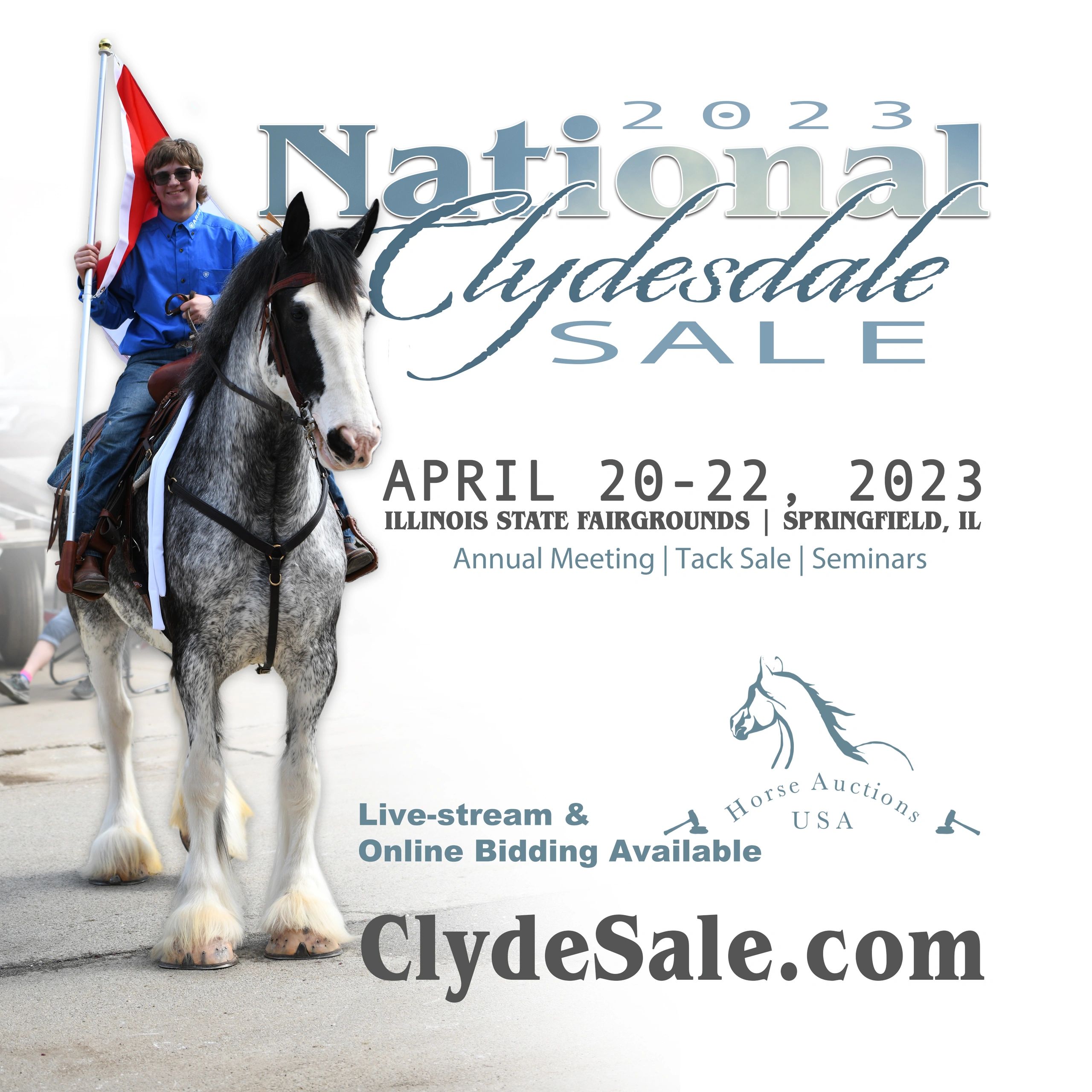 Horse Consignments